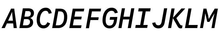 Google Sans Code 500italic Font UPPERCASE