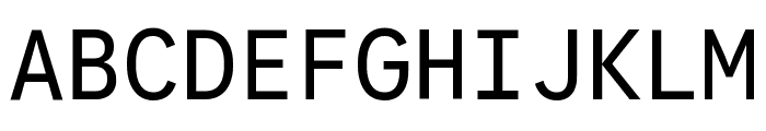 Google Sans Code Regular Font UPPERCASE