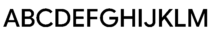 Google Sans Flex 500 Font UPPERCASE