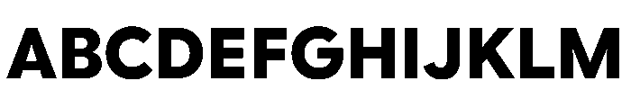 Google Sans Flex 800 Font UPPERCASE