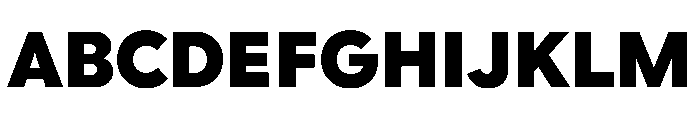 Google Sans Flex 900 Font UPPERCASE