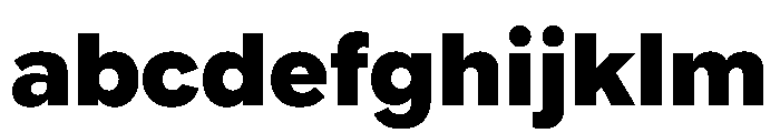Google Sans Flex 900 FONT