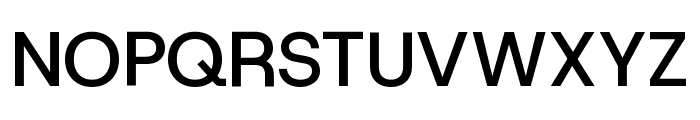 Host Grotesk 500 Font UPPERCASE