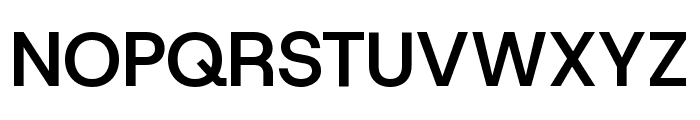 Host Grotesk 600 Font UPPERCASE