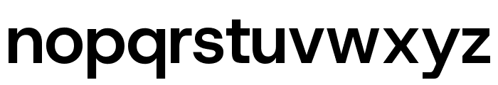 Host Grotesk 600 Font LOWERCASE