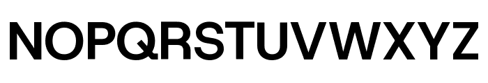 Host Grotesk 700 Font UPPERCASE