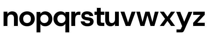 Host Grotesk 700 Font LOWERCASE