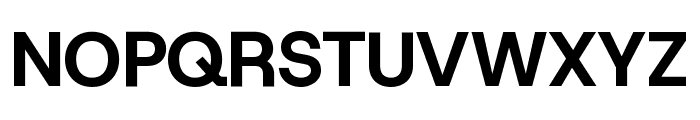 Host Grotesk 800 Font UPPERCASE