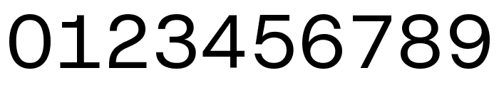 Host Grotesk Regular Font OTHER CHARS