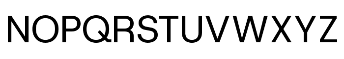 Host Grotesk Regular Font UPPERCASE