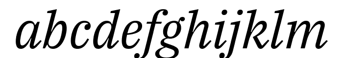 IBM Plex Serif italic Font LOWERCASE