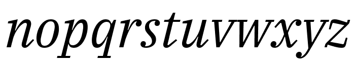 IBM Plex Serif italic Font LOWERCASE