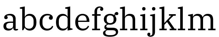 IBM Plex Serif regular Font LOWERCASE