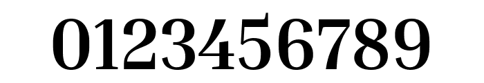 Inria Serif 700 Font OTHER CHARS