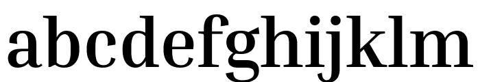 Inria Serif 700 Font LOWERCASE