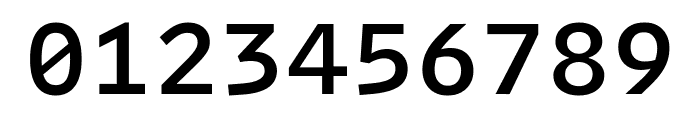 Intel One Mono 500 Font OTHER CHARS