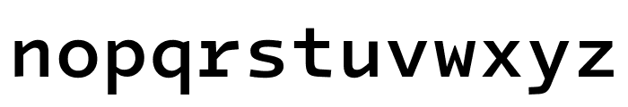 Intel One Mono 500 Font LOWERCASE