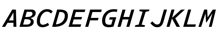 Intel One Mono 500italic Font UPPERCASE