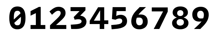 Intel One Mono 600 Font OTHER CHARS