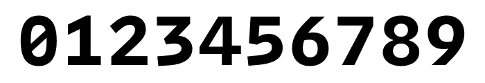 Intel One Mono 700 Font OTHER CHARS