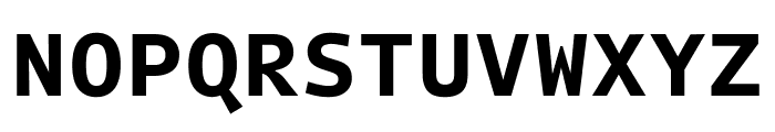 Intel One Mono 700 Font UPPERCASE