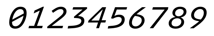 Intel One Mono Italic Font OTHER CHARS