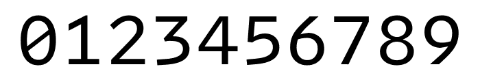Intel One Mono Regular Font OTHER CHARS