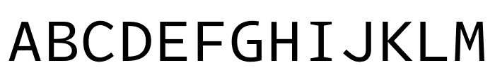 Intel One Mono Regular Font UPPERCASE