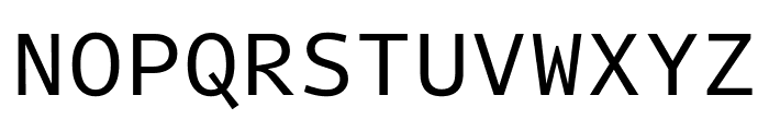 Intel One Mono Regular Font UPPERCASE