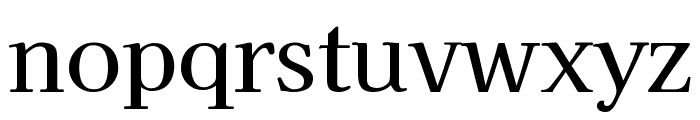 Kaisei HarunoUmi 500 Font LOWERCASE