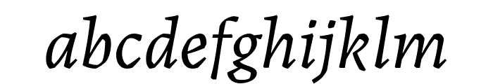 Labrada Italic Font LOWERCASE