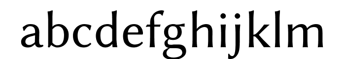 Libertinus Sans Regular FONT