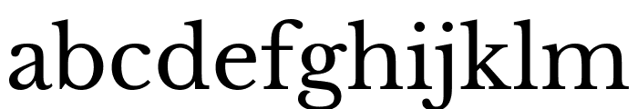 Libre Baskerville regular Font LOWERCASE