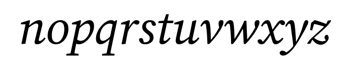 Lisu Bosa 300italic Font LOWERCASE