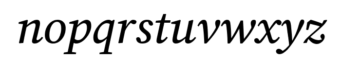 Lisu Bosa 500italic Font LOWERCASE