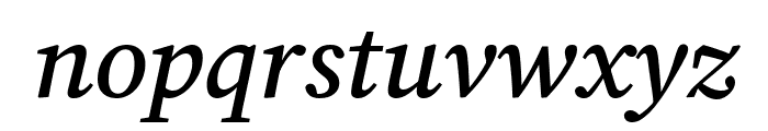 Lisu Bosa 600italic Font LOWERCASE