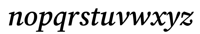 Lisu Bosa 700italic Font LOWERCASE