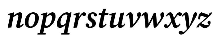 Lisu Bosa 900italic Font LOWERCASE