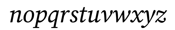 Lisu Bosa Italic Font LOWERCASE