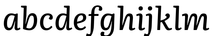 Literata 500italic Font LOWERCASE