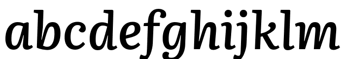 Literata 600italic Font LOWERCASE