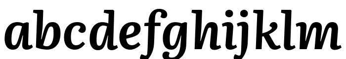 Literata 700italic Font LOWERCASE