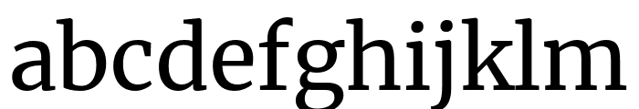 Merriweather regular Font LOWERCASE