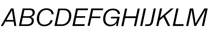 Mona Sans Italic Font UPPERCASE