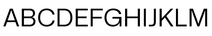 Mona Sans Regular Font UPPERCASE