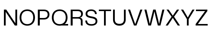 Mona Sans Regular Font UPPERCASE