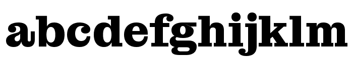 Montagu Slab 700 Font LOWERCASE