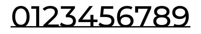 Montserrat Underline 500 Font OTHER CHARS