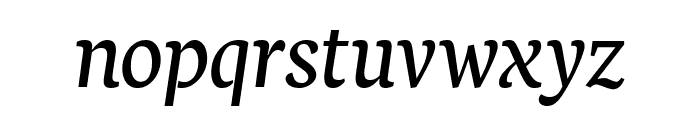 Neuton italic Font LOWERCASE