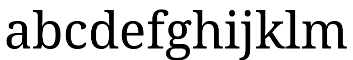 Noto Serif Dives Akuru Regular FONT